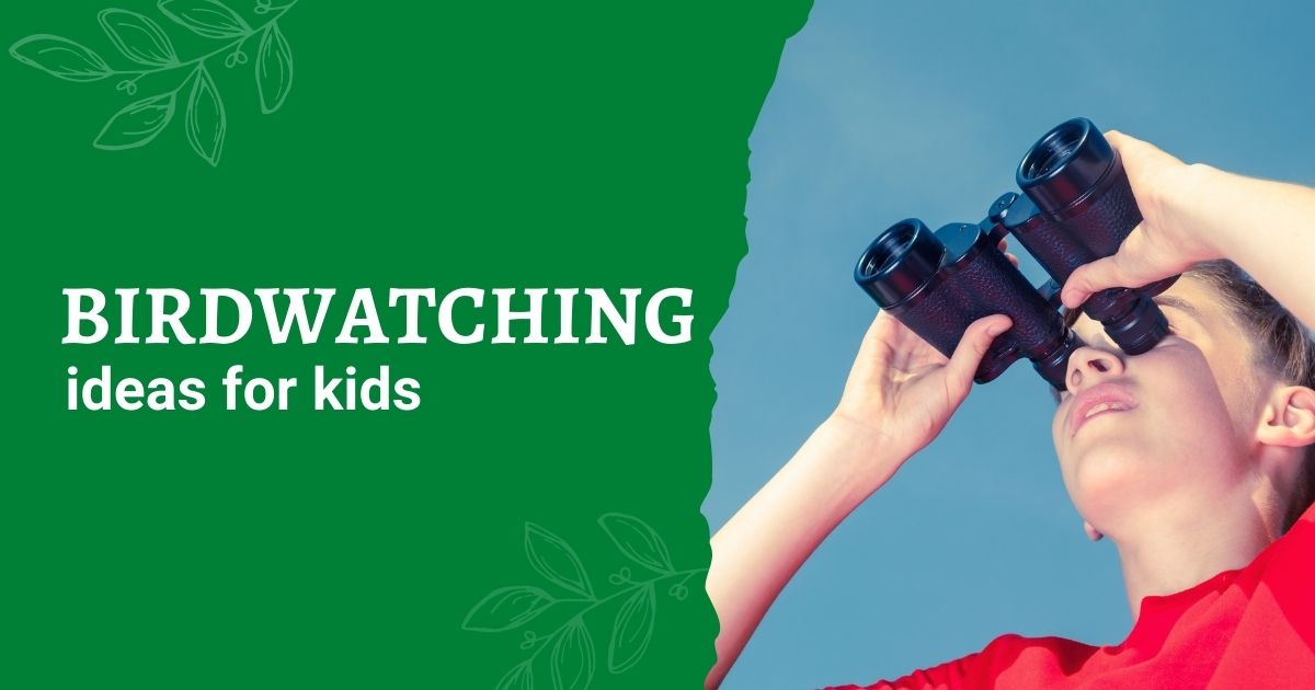 Birdwatching Ideas For Kids My Birdwatching